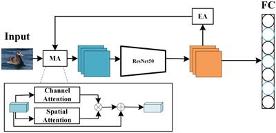 Fine-grained image classification method based on hybrid attention module